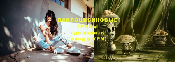 прущие грибы Остров