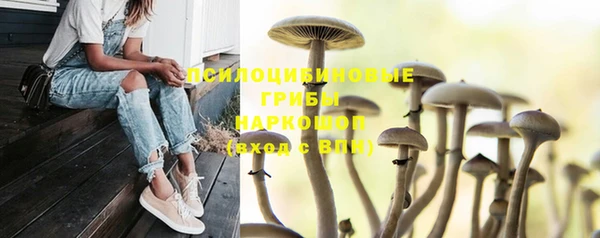 твердый Пестово