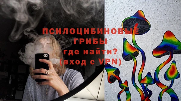 твердый Пестово