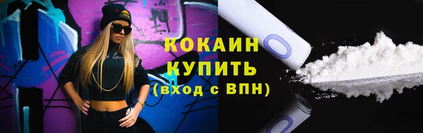 твердый Пестово