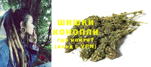 прущие грибы Остров