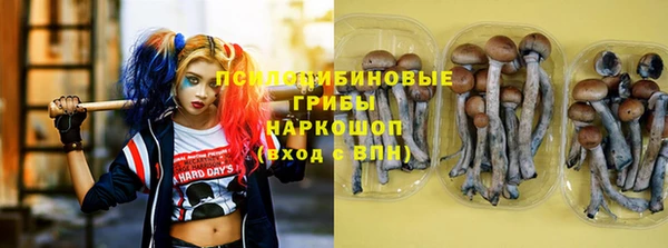 прущие грибы Остров