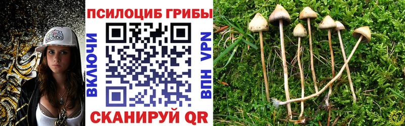 Псилоцибиновые грибы мицелий  Арзамас 