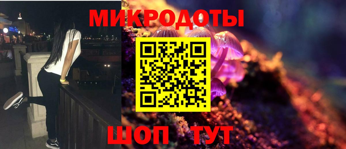 Псилоцибиновые грибы MAGIC MUSHROOMS  Вход с VPN  Арзамас  Псилоцибиновые грибы Cubensis 